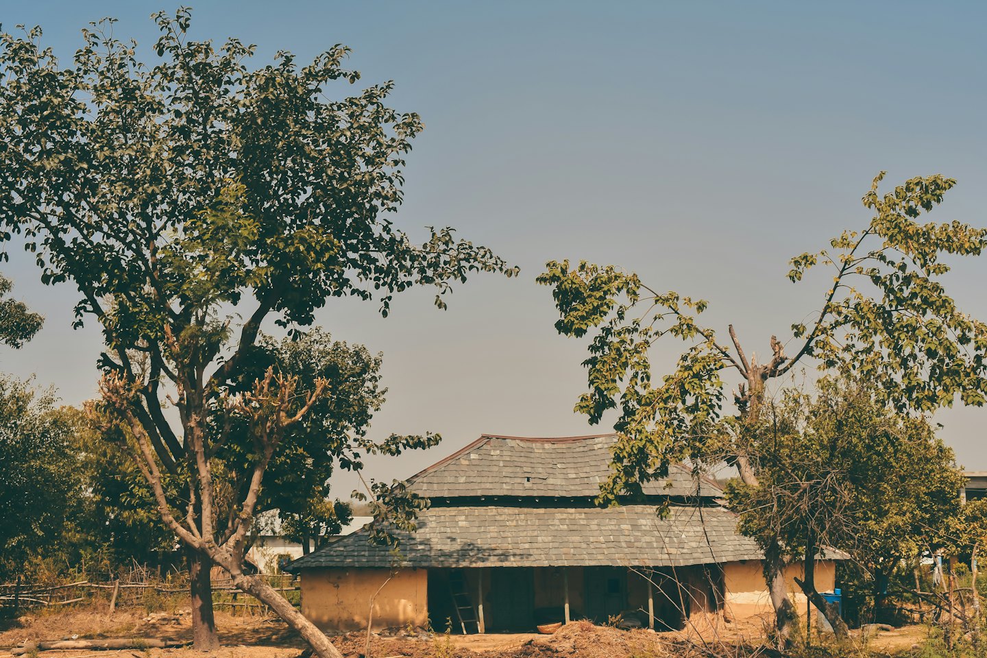 Casa tradicional de adobe con tejado de pizarra rodeada de árboles.