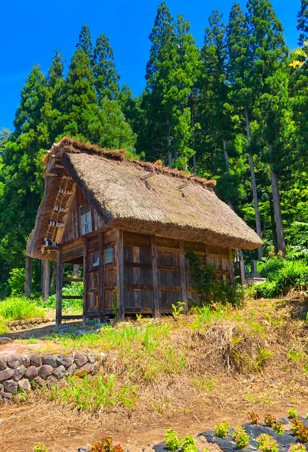 Casa rústica de madera con techo de paja en una ladera.