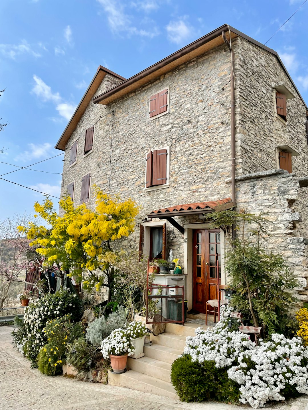 Casa de piedra con jardín vibrante y árboles de flores amarillas.