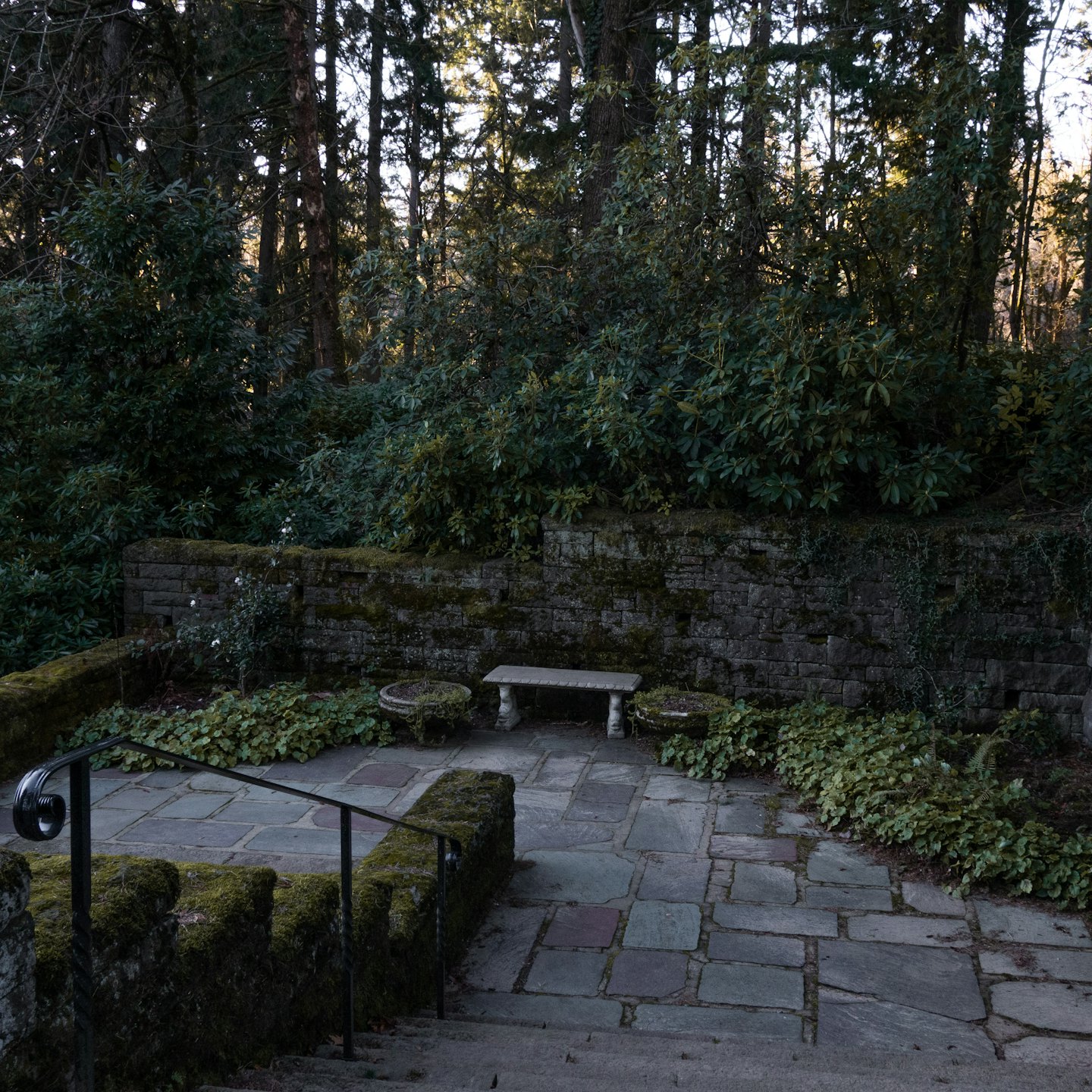 Terraza de piedra con banco de jardín junto a un muro cubierto de musgo.